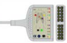 Cable troncal / latiguillos EKG, 10 derivaciones, estándar AHA – compatible con Fukuda – ref. BKD-33A
