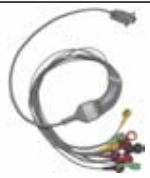 Cable ECG para Holter, extremo paciente: broche, 10 derivaciones, estándar IEC – compatible con CHANGCHUN TIMES DIGITAL
