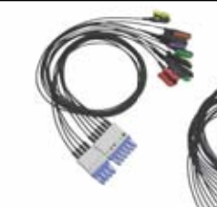 Latiguillos ECG radiotransparentes, 3 derivaciones, estándar AHA – compatible con PHILIPS (DG Style) DG – ref. BCFR3-01A