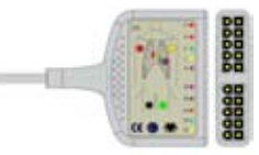 Cable troncal / latiguillos EKG, 10 derivaciones, estándar IEC – compatible con Biolight – ref. BKD-32I
