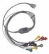 Cable ECG para Holter, extremo paciente: broche, 10 derivaciones, estándar IEC – compatible con BENEWARE Straight