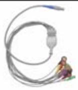 Cable ECG para Holter, extremo paciente: broche, 10 derivaciones, estándar IEC – compatible con Biomedical Instruments