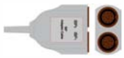 Cable / transductor de presión invasiva (PAI), longitud 0,3 m – compatible con Mindray/ Datascope 2X12Pin IBP Cable