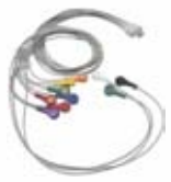 Cable ECG para Holter, extremo paciente: broche, 10 derivaciones, estándar AHA – compatible con Vasomedical Biocare