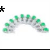 Accesorio ECG/EKG, adaptadores de electrodo broche y pinza a banana 4,0 mm